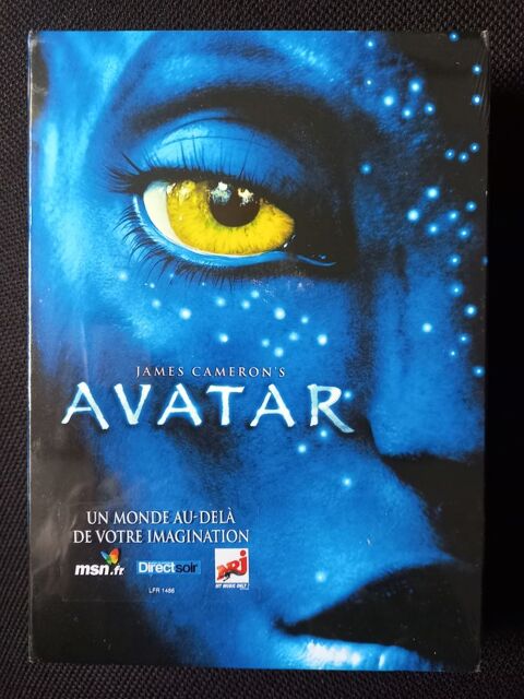 AVATAR 6 Lancieux (22)