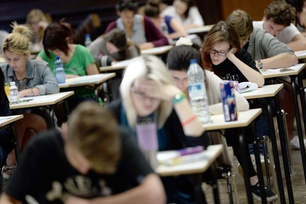   Préparation des épreuves de français du Bac 