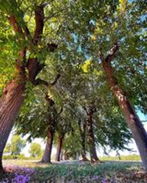   Domaine - Mariage et fêtes privées 