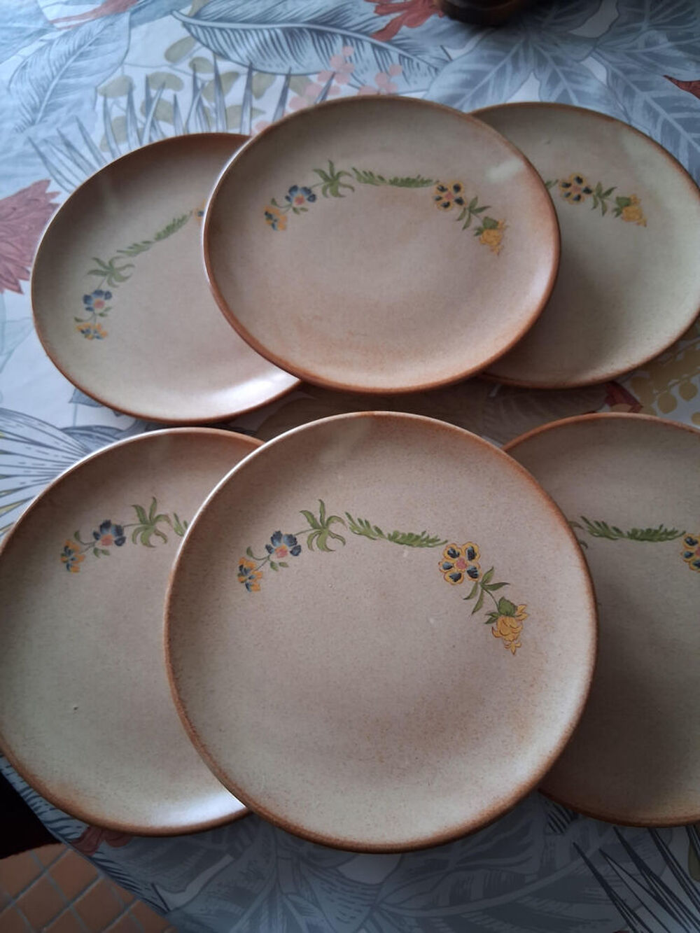 Lot de 6 assiettes ceramique Cuisine