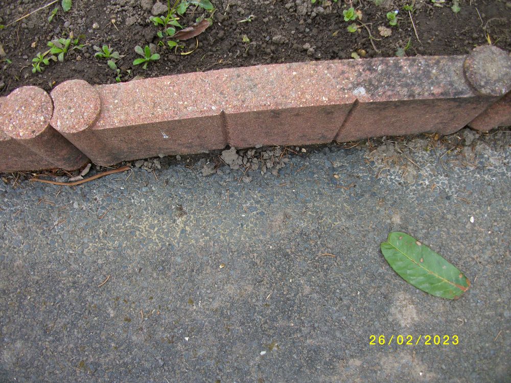 BORDURE DE JARDIN Jardin
