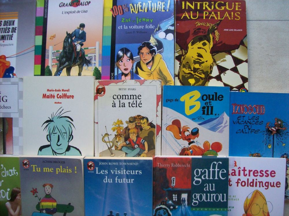 lot de livres pOur ADO Livres et BD