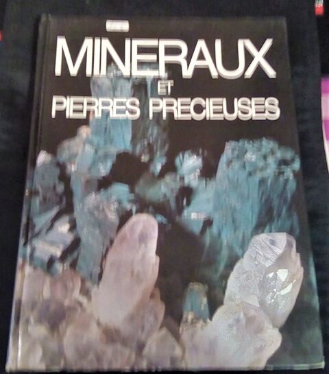 MINERAUX ET PIERRES PRECIEUSES 14 Langueux (22)