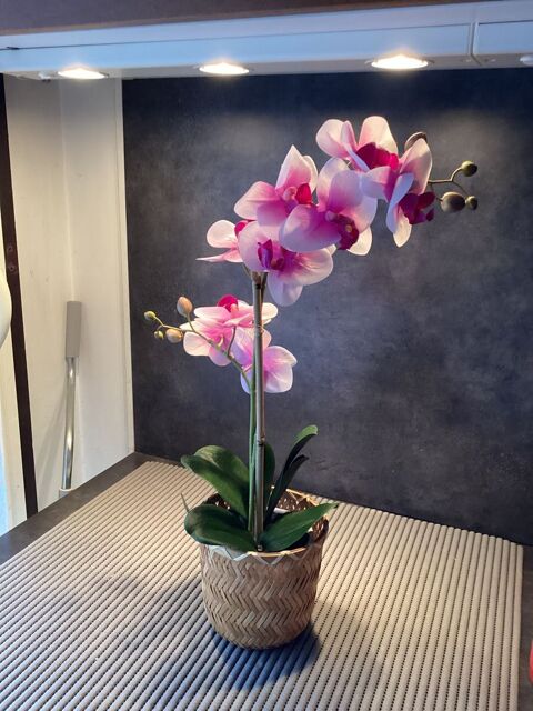 Orchid�e & son cache pot IK�A 14 Vincennes (94)