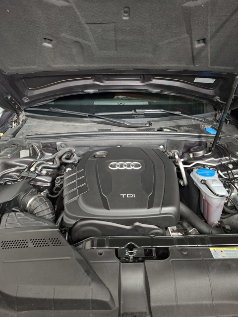 Audi A4 2.0 TDI 120 DPF Ambiente 2014 occasion La Roche-sur-Yon 85000