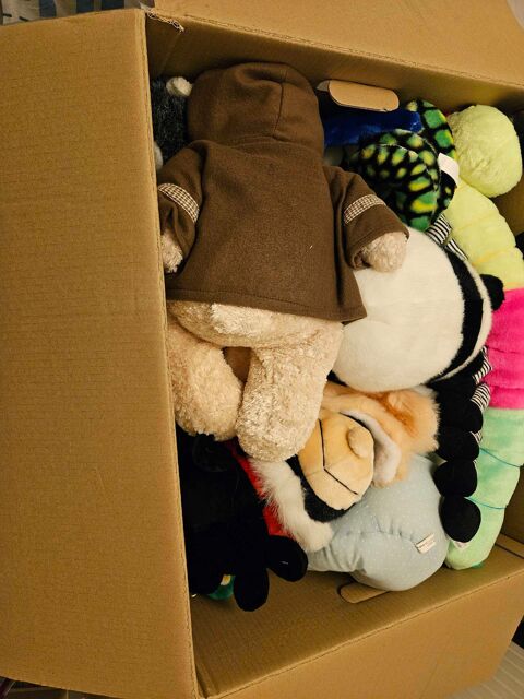 Peluches neuves 6 Quarouble (59)