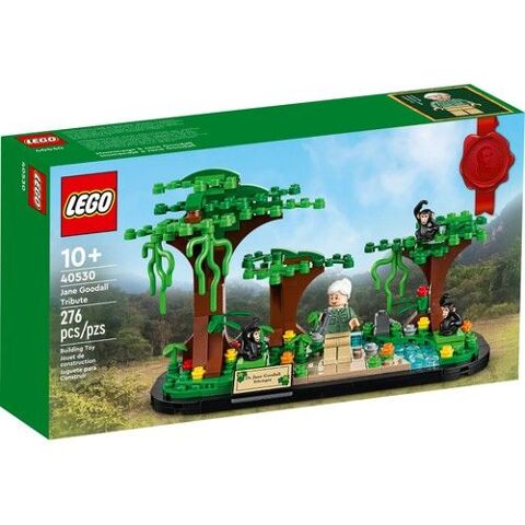 Hommage  Jane Goodall Lego 40530 19 Choisy (74)