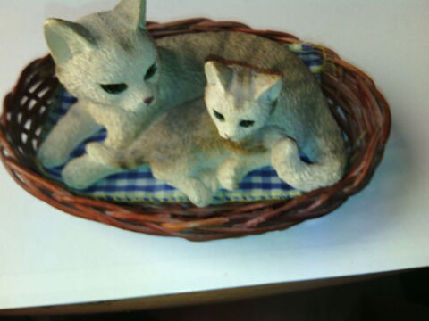 2 chats de collection couche dans leur panier ( N°9)
4 Viry-Noureuil (02)