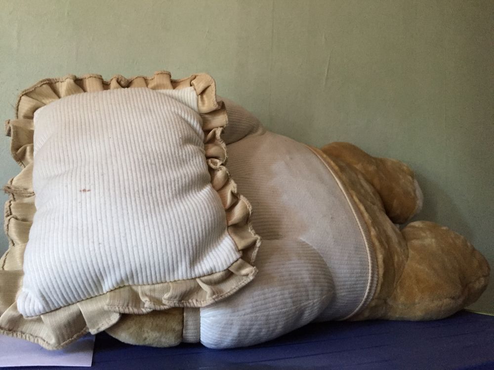 PELUCHE CHIEN DORMANT SUR SON OREILLER Jeux / jouets