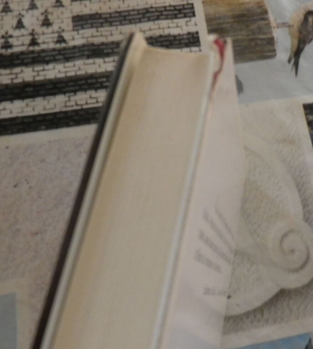 JOURNAL D'HANNAH de Louise L. LAMBRICHS Ed. France Loisirs Livres et BD