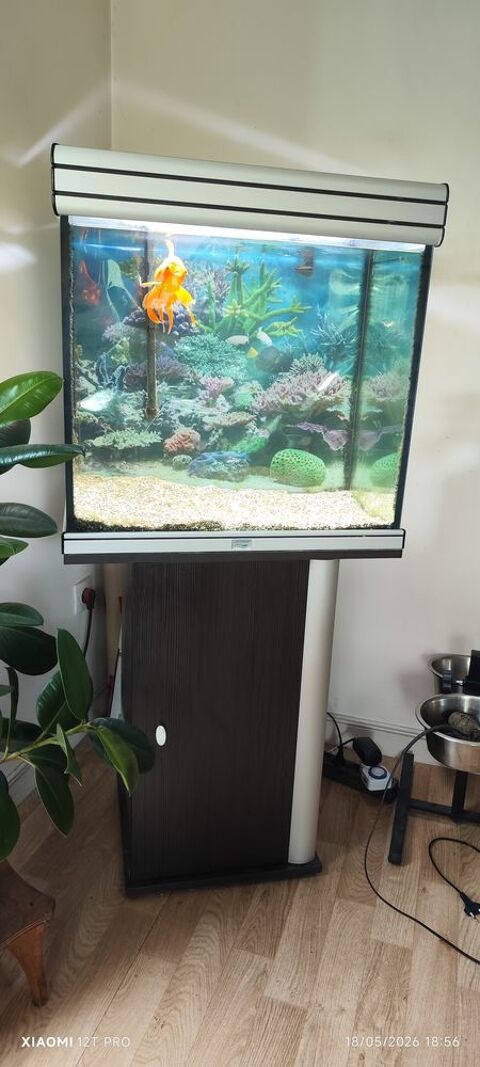 Aquarium Aquadisio meuble &eacute;clairage 100 93500 Pantin