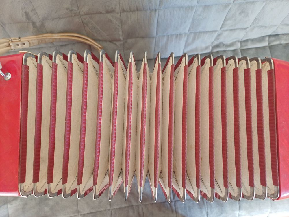 Accord&eacute;on Crucianelli 120 basses TB &eacute;tat et bien accord&eacute; Instruments de musique