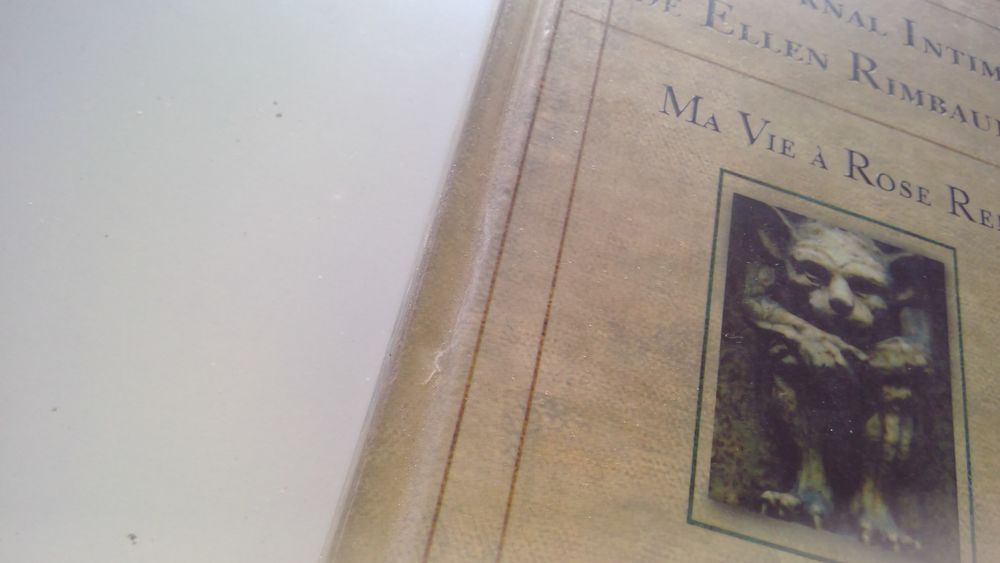 Le Journal intime de Ellen Rimbauer Livres et BD