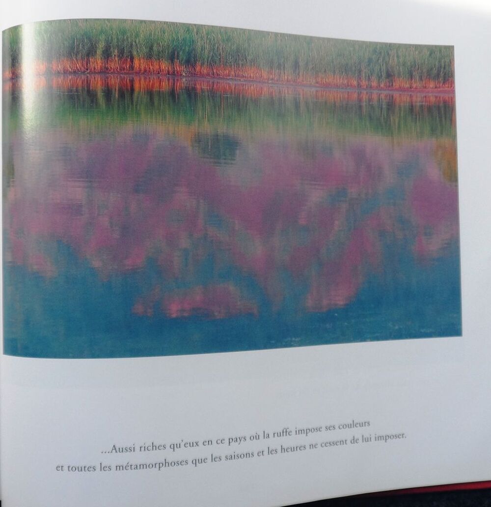 Le Lac du Salagou miroir aux cent visages super &eacute;tat
Livres et BD