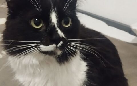 EROS 220 27620 Gasny