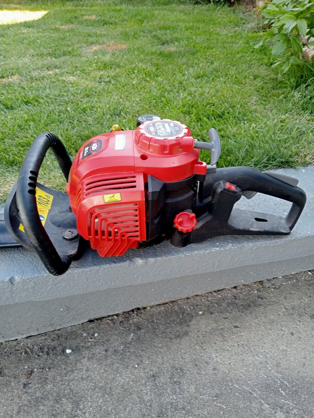 Taille haie thermique Jardin
