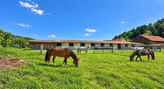  Ferme à vendre 8 pièces 301 m²