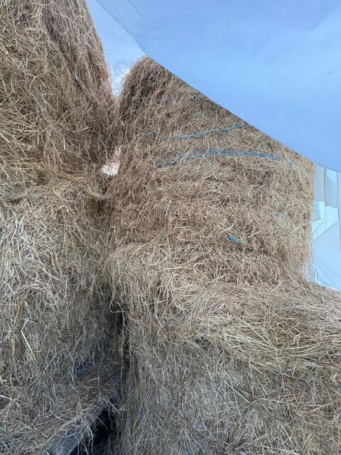 foin 22 71170 Chauffailles