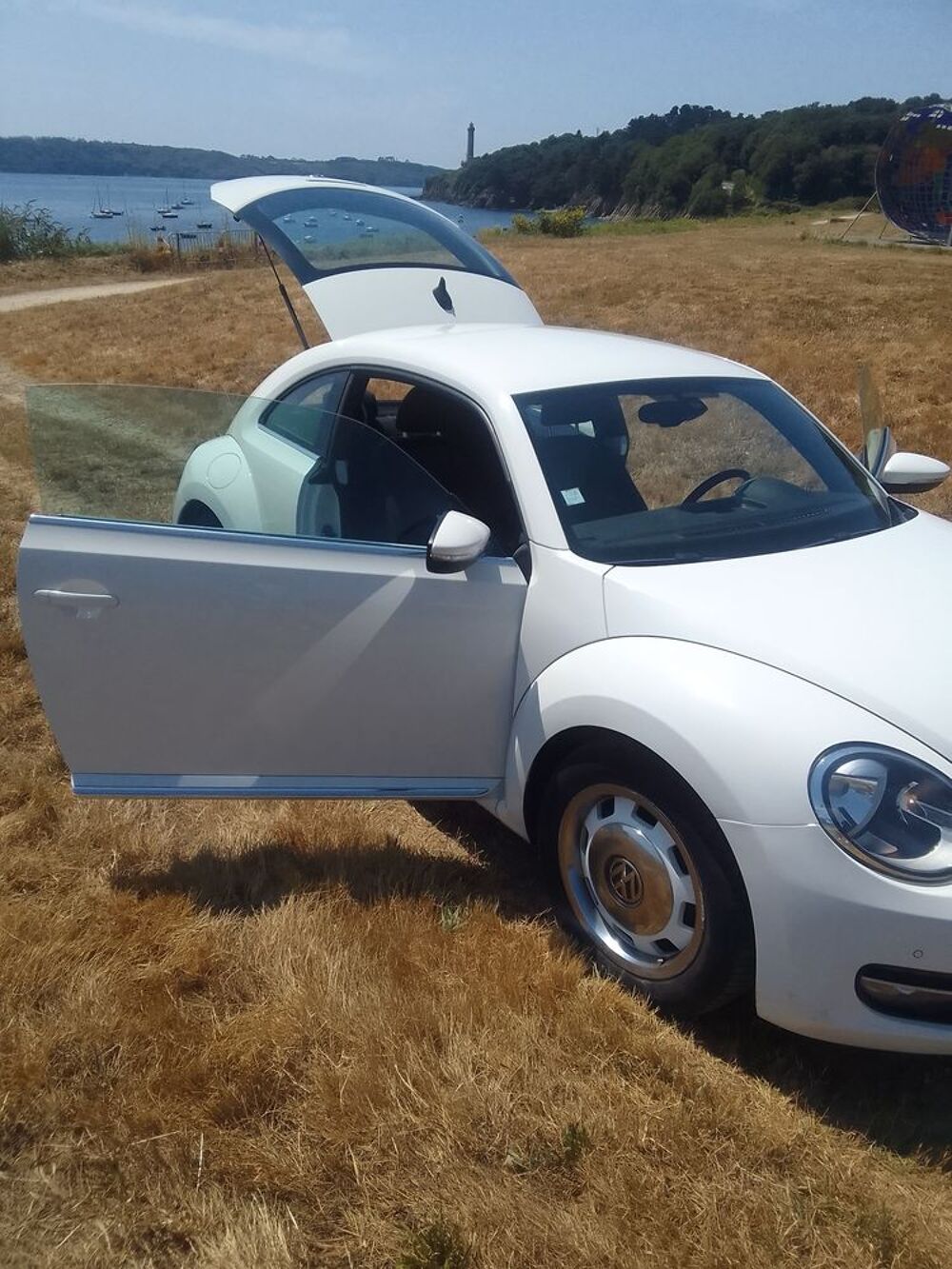 COCCINELLE II Coccinelle 1.6 TDI 105 FAP Vintage 2014 occasion 29200 Brest