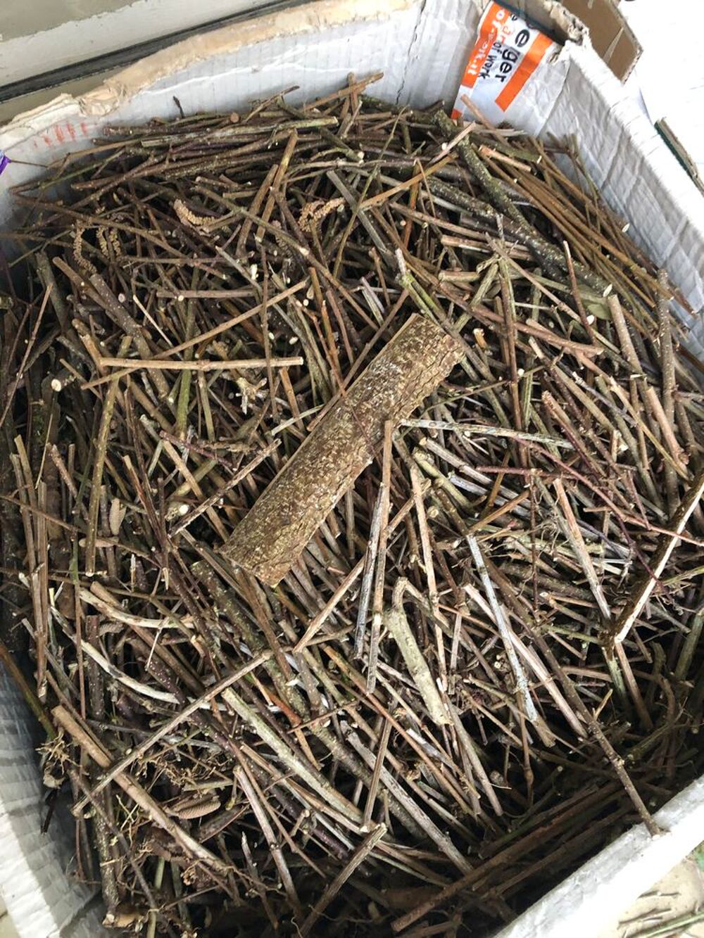 Don de petits bois pour chauffage Jardin