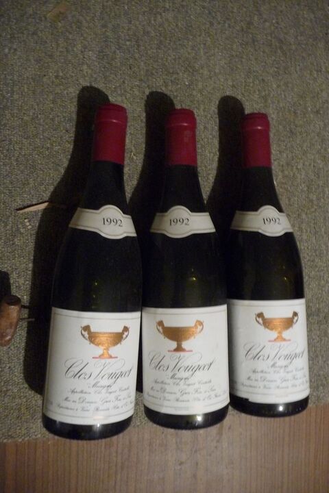 Vins fins Soucieu-en-Jarrest (69)