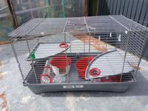   cage pour hamster 