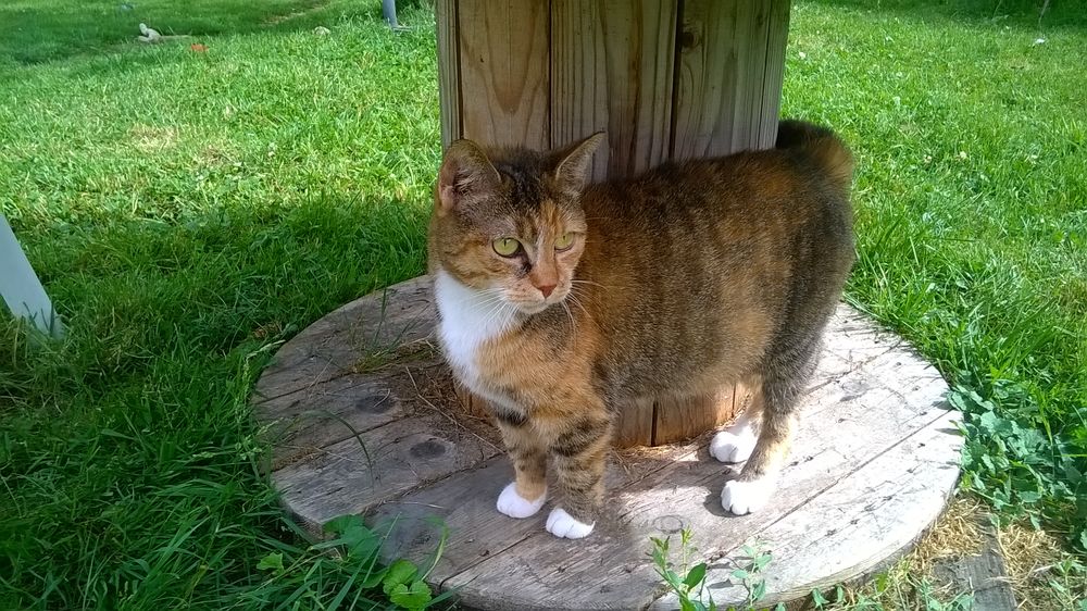   La belle Marinette attend sa famille 