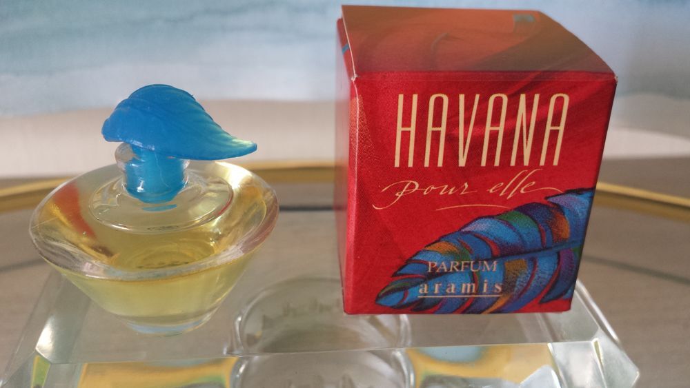 MINIATURE "HAVANA" 