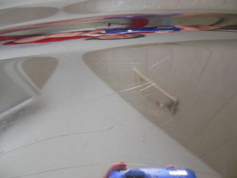 plat � poissons 8 Vouzeron (18)