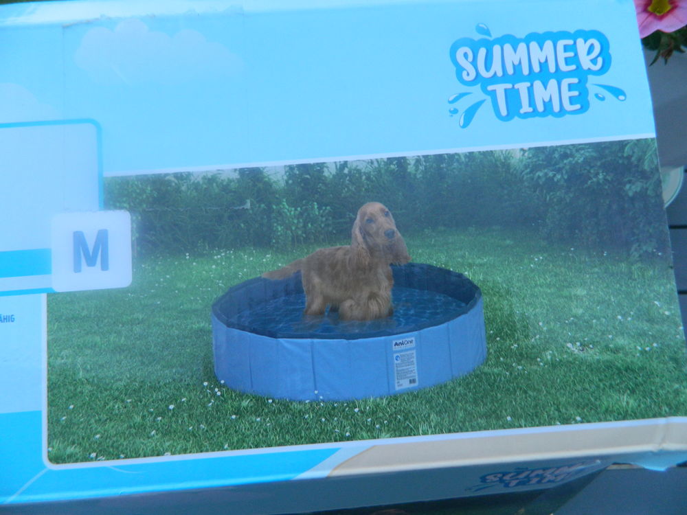 PISCINE POUR CHIEN Jardin