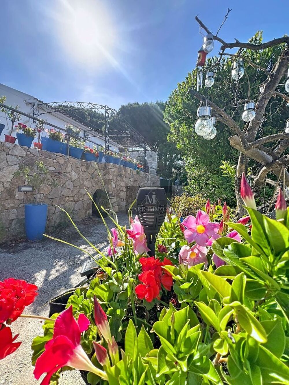 Vente Terrain En exclusivité : Terrain rare avec bâti de 50m² Calvi