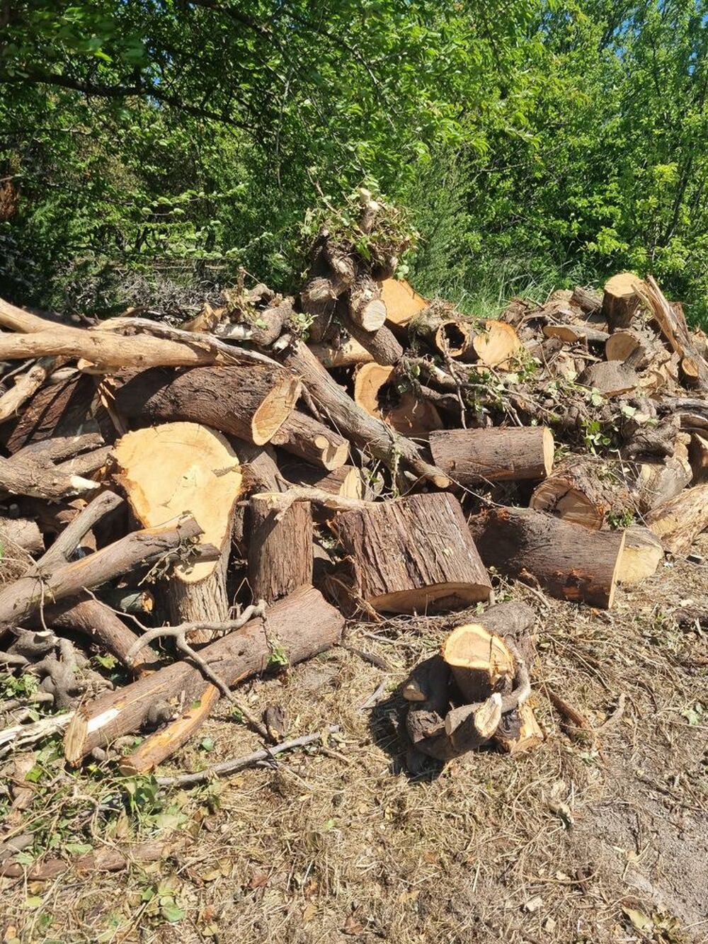 Bois de chauffage &agrave; enlever sur place (Rochegude 26) 50 € Jardin