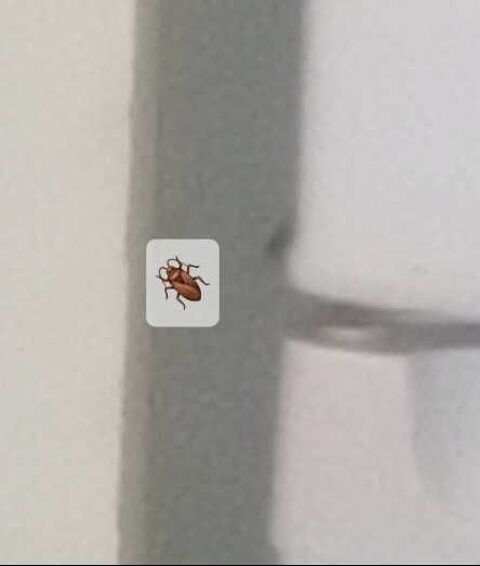 insecticide ultra puissant 25 Marseille 1 (13)