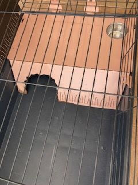 CAGE  RONGEURS 40 33210 Langon