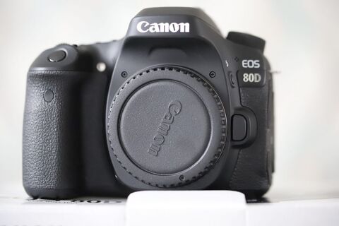 Canon Eos 80d + Objectif Tamron 16.300 mm 0 Plouvorn (29)
