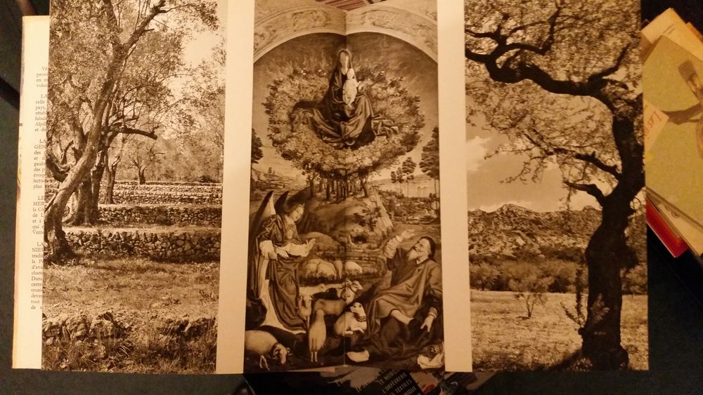 Provence Enchant&eacute;e de Fran&ccedil;ois Cali Livres et BD