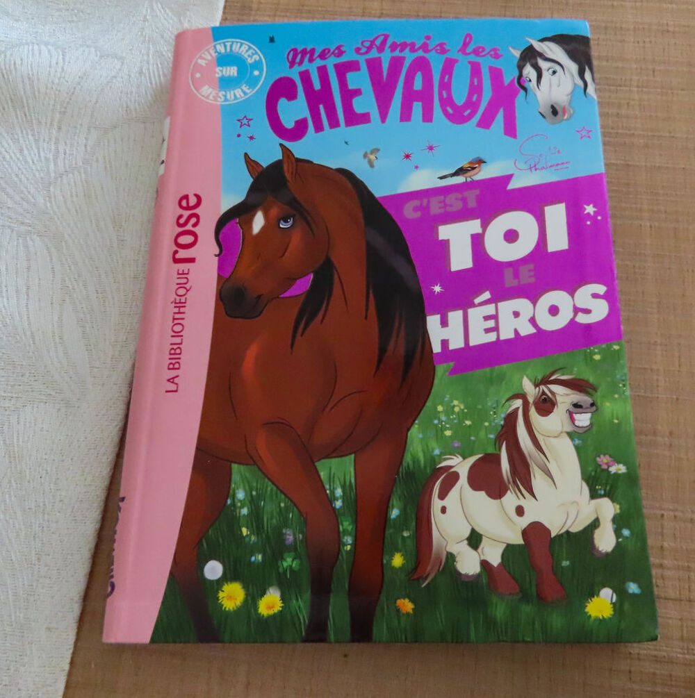 LIVRES JEUNESSE BIBLIOTHEQUE ROSE Livres et BD