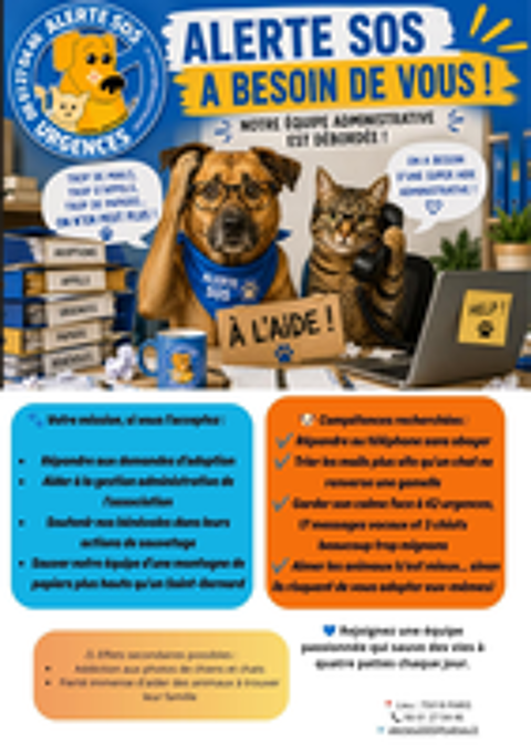   RECHERCHE PERSONNE POUR L'ADMINISTRATIF 