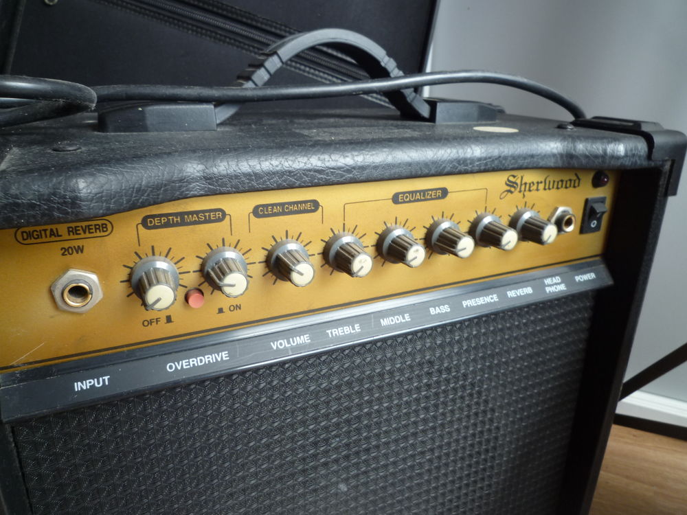 Guitare electrique enchanteresse Instruments de musique