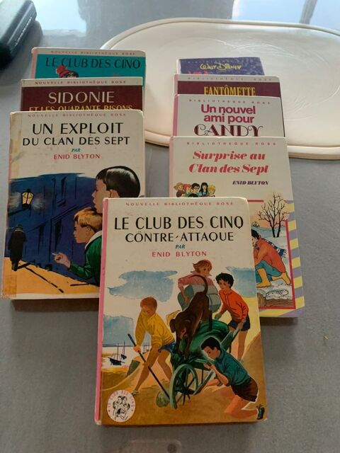 Petits livres pour enfants 10 Chichery (89)