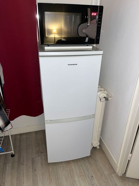Rfrigrateur conglateur Thomson 100 Paris 15 (75)