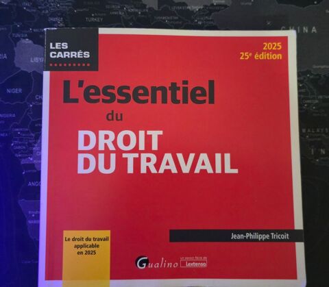 Droit du travail, protection sociale...
A partir de 10 euros 10 Baie-Mahault (97)