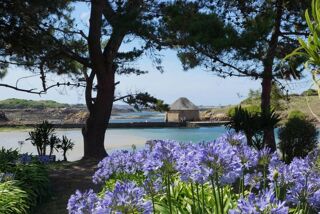 Location  Appartement 