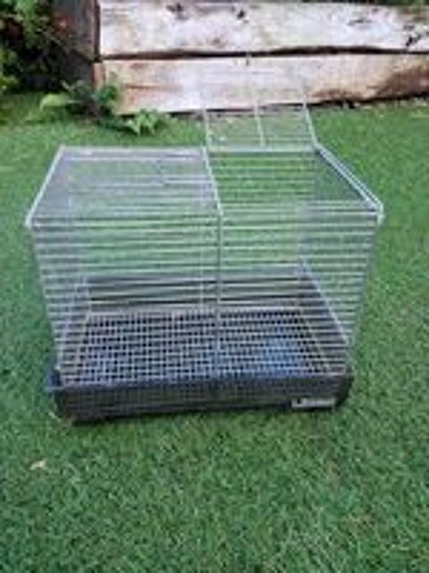   cage de transport 