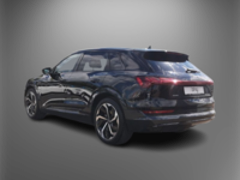 E-TRON e-tron 50 quattro 313 ch S line 2021 occasion 67100 Strasbourg