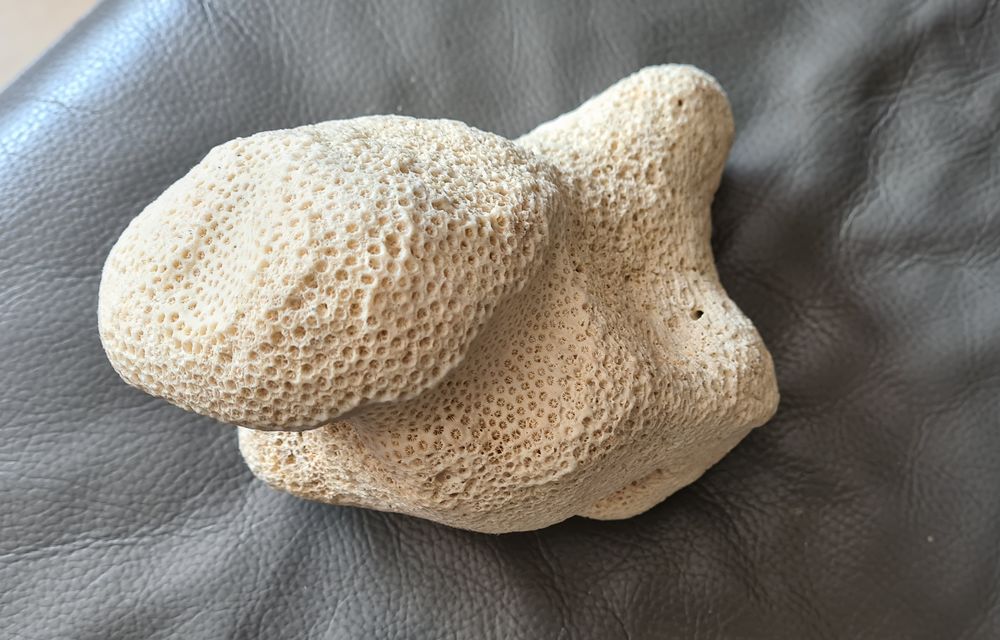 Tr&egrave;s belle pierre D�coration