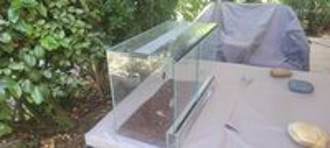   Terrarium 