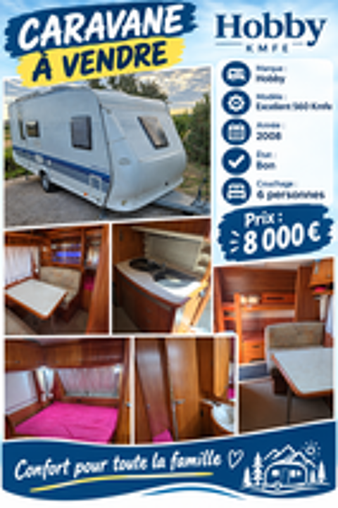  2008 occasion 81500 Teulat