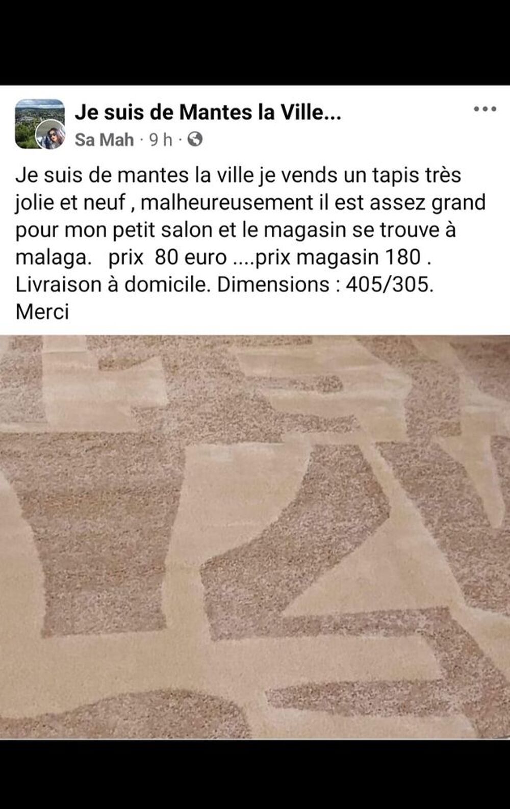Jolie Tapis neuf Décoration