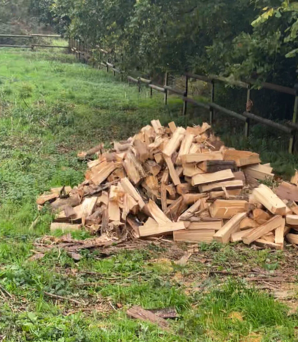 bois de chauffage Jardin